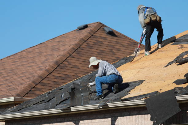 Reliable Orchard Hills, PA Roofing services Solutions